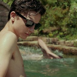 Timothée Chamalet, Armie Hammer - Call Me by Your Name